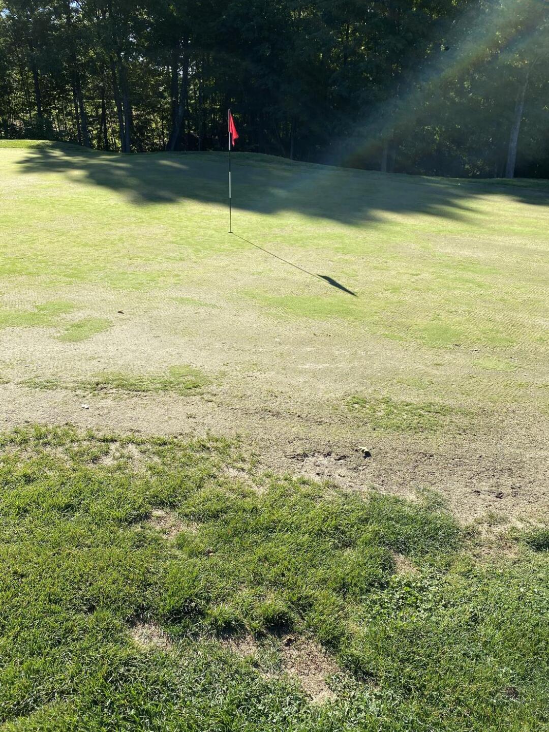 (Photo submitted by u1856298 on 05/13/2021)