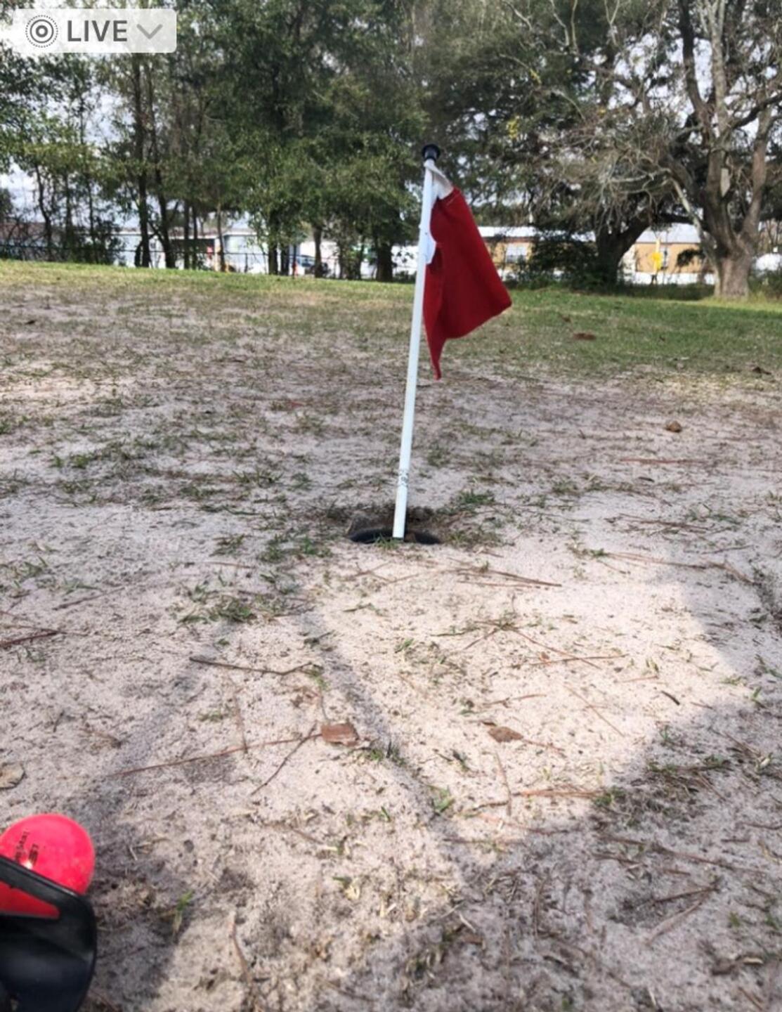 (Photo submitted by u314162412702 on 01/08/2022)