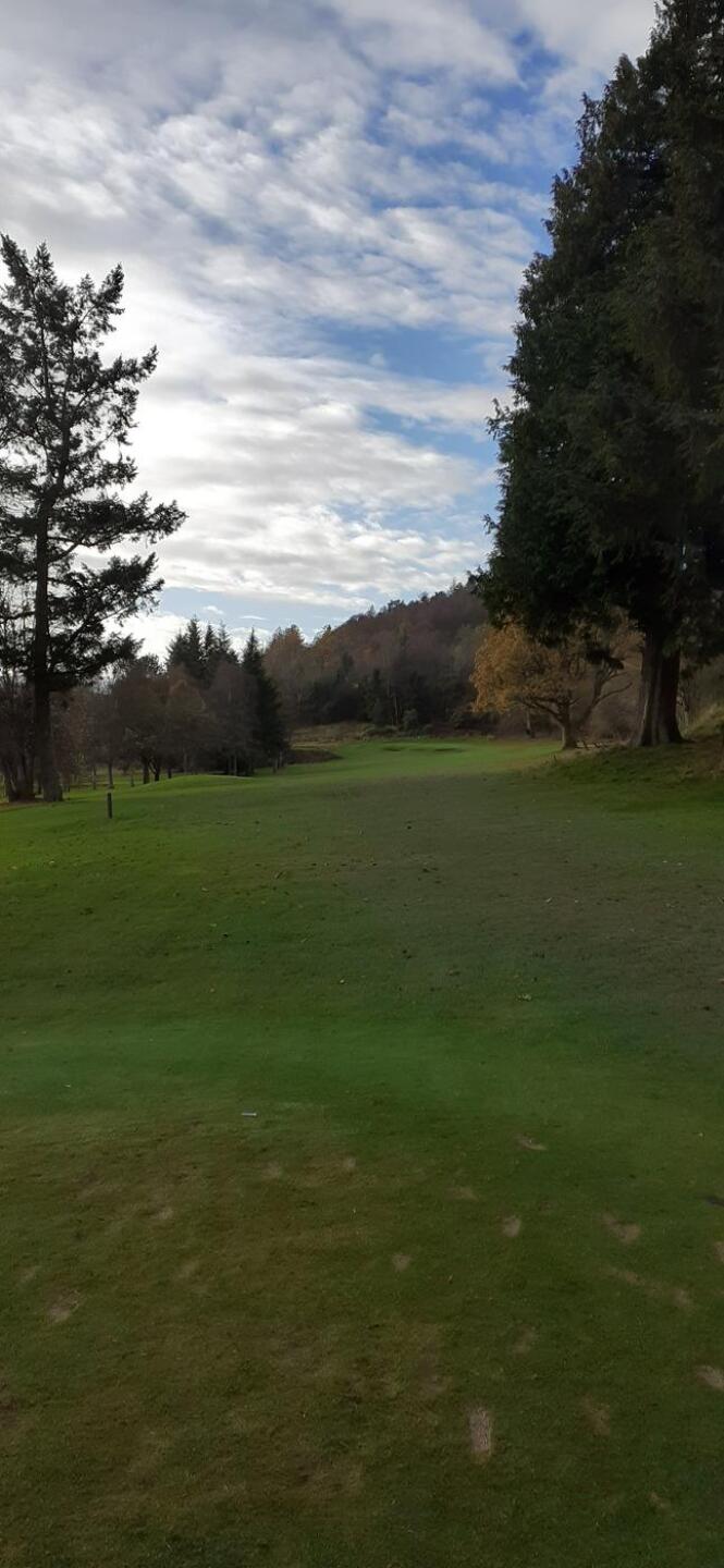 (Photo submitted by broony79 on 11/18/2024)