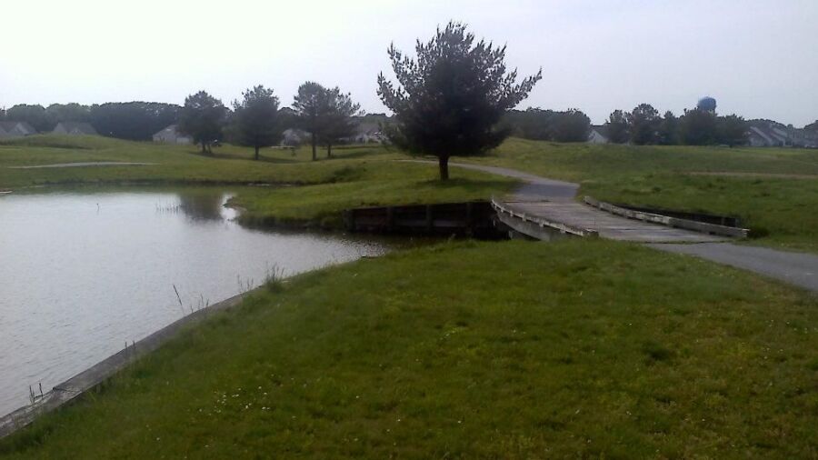 Wood Creek GL