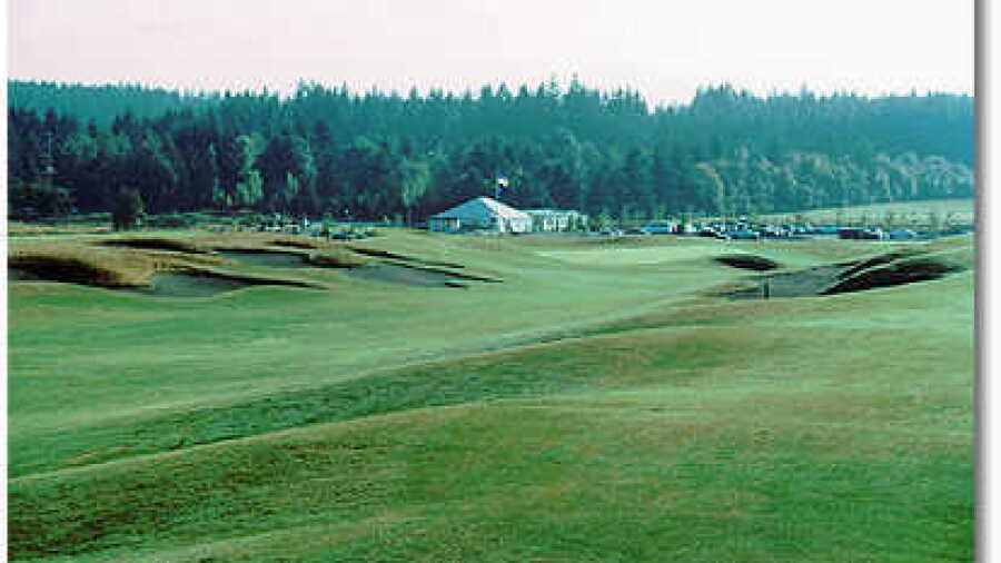 Stone Creek #9