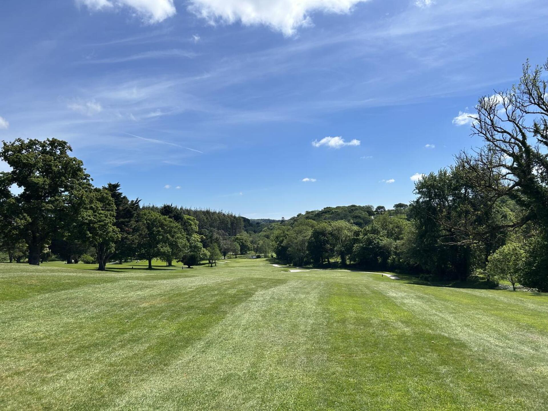 (Photo submitted by Tomshears76 on 05/13/2025)