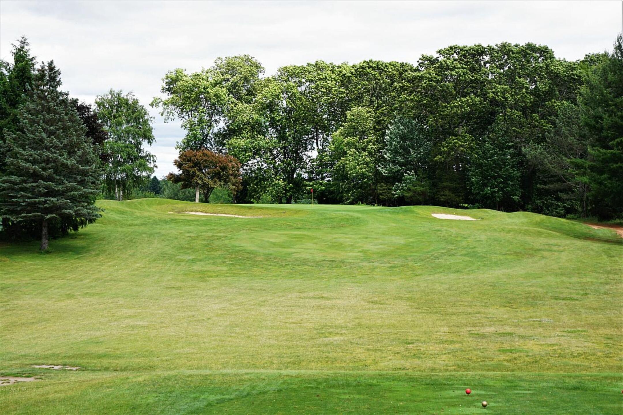 An uphill, mid-range par-3, sixteen is both tough and beautiful. (Photo submitted by AptlyLinked on 06/20/2022)