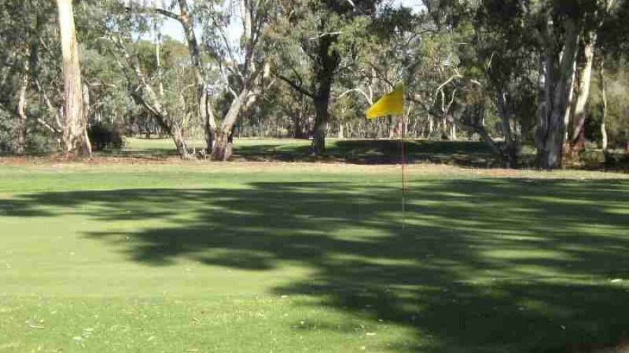 Bendigo GC: #17