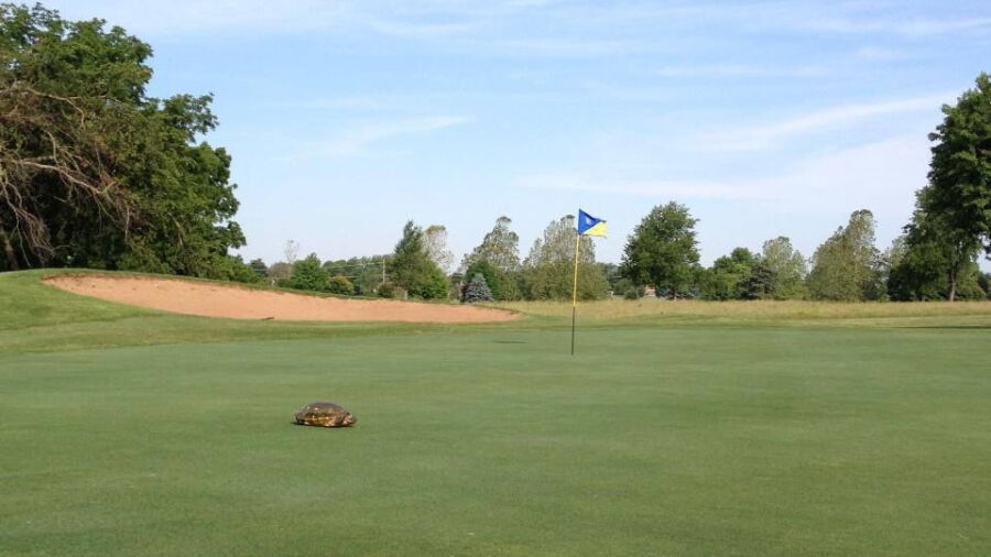Horton Smith GC