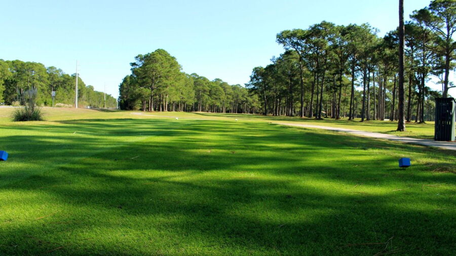 Gator Lakes GC: #3