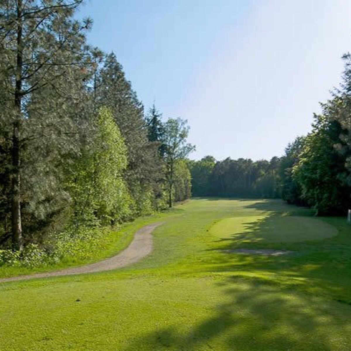 Vechta Welpe Golf Club in Vechta, Niedersachsen, Germany Golf Advisor