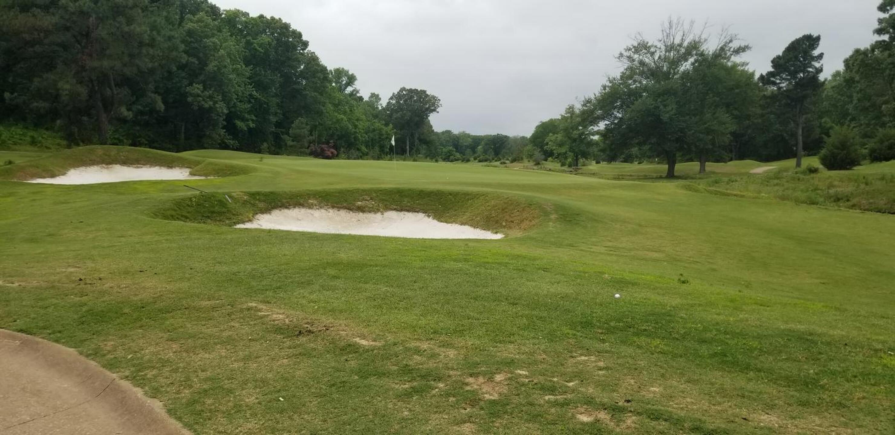Tee shot on #14 (Photo submitted by termagator on 05/26/2021)