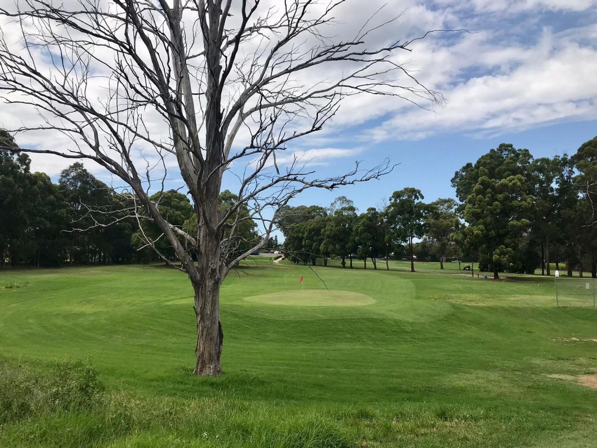 (Photo submitted by null on 02/21/2022)