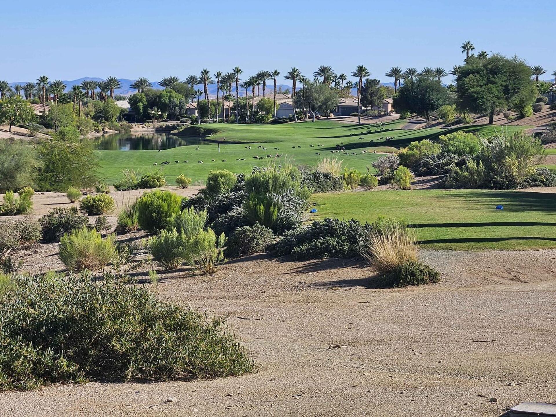 (Photo submitted by u314161622535 on 10/13/2025)