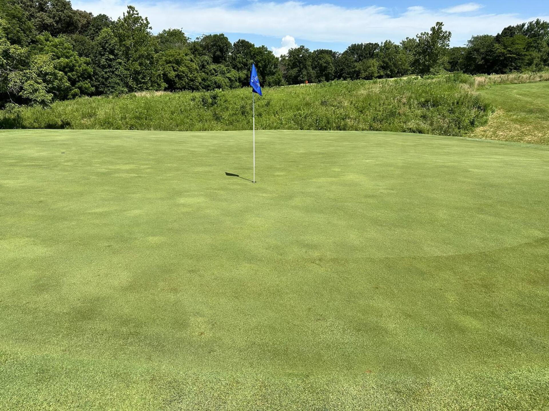 #2 green (Photo submitted by baranjr on 07/06/2025)