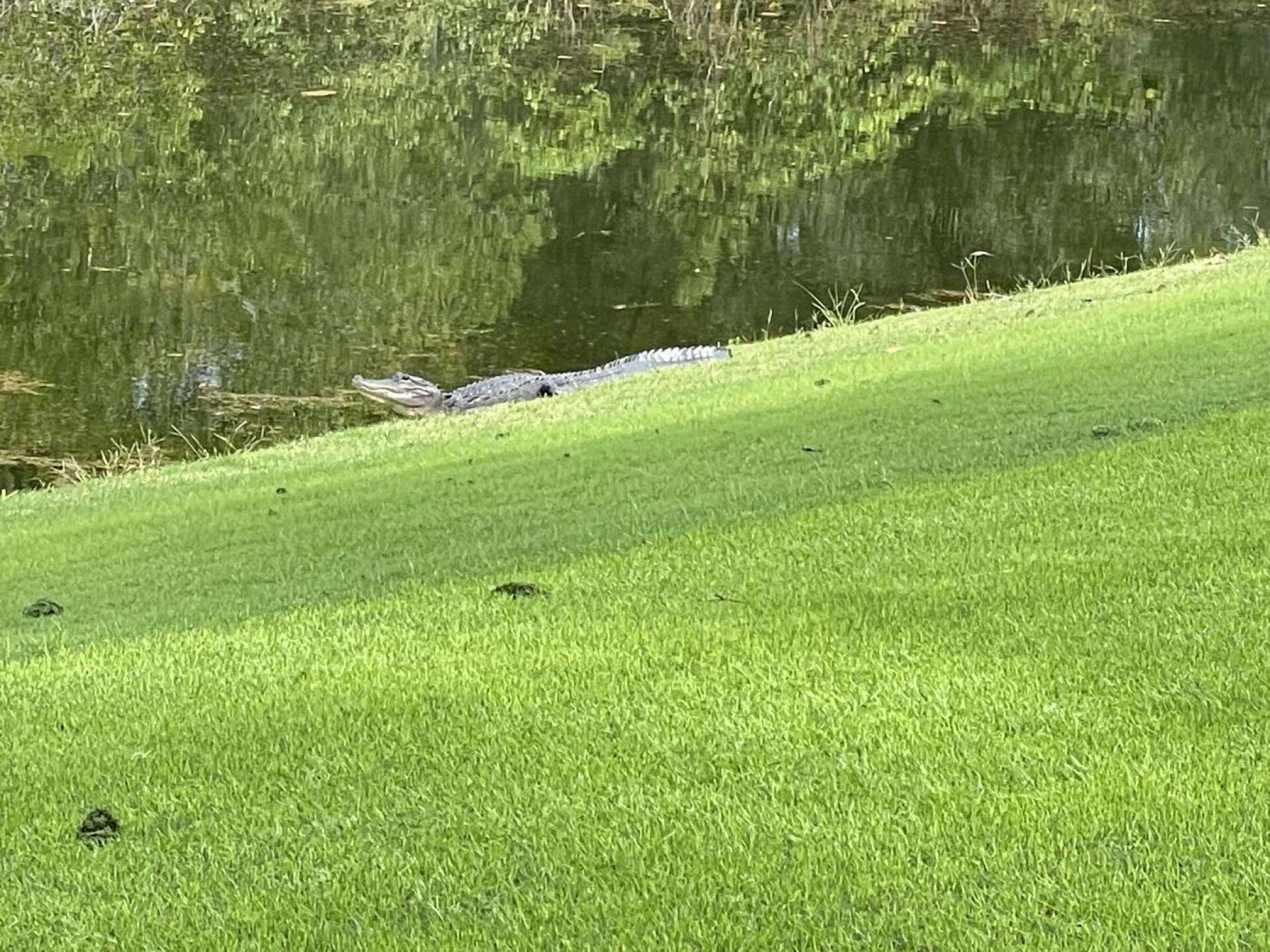 (Photo submitted by Houcher144 on 11/16/2022)