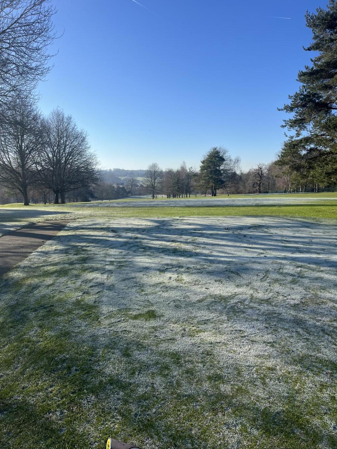 (Photo submitted by Mattydizzle on 01/21/2024)