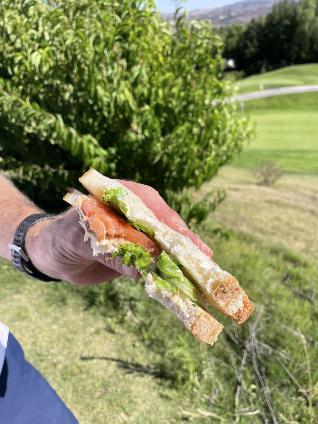 Just funky (Photo submitted by brs805 on 09/26/2023)