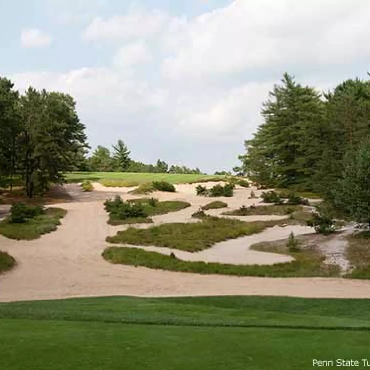 How to Get on New Jersey's Pine Valley Golf Course
