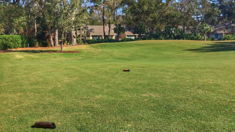 Sea Pines Resort - Atlantic Dunes golf course - tee boxes