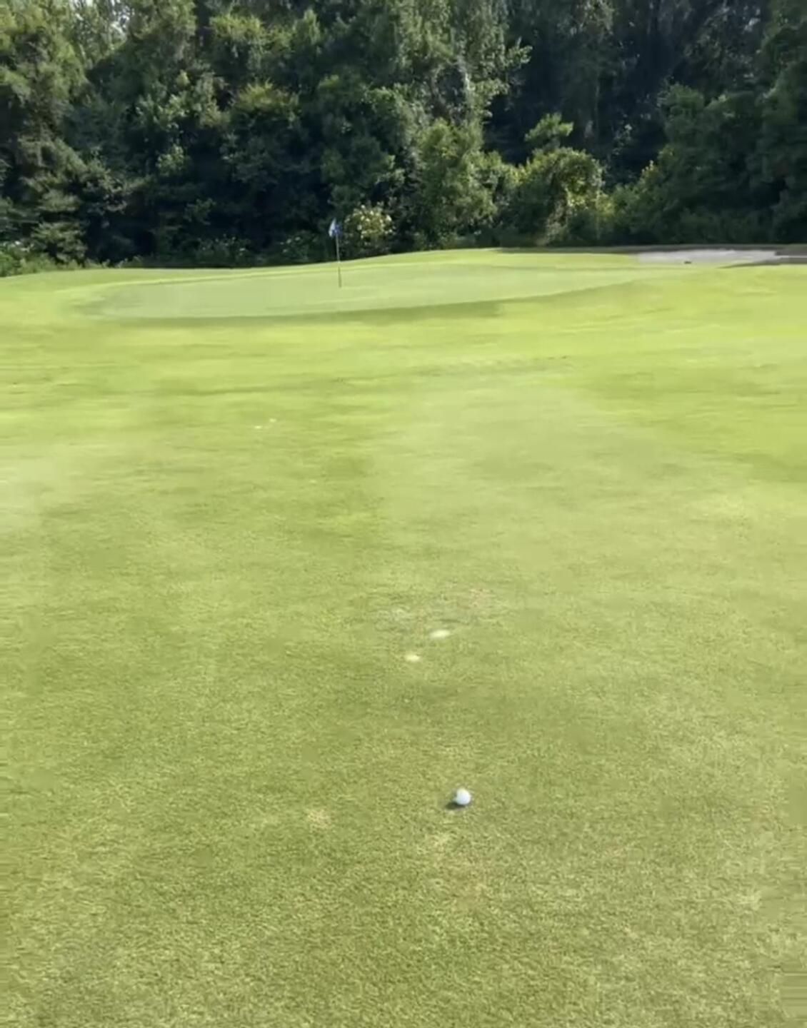 (Photo submitted by markymark6524 on 06/09/2023)