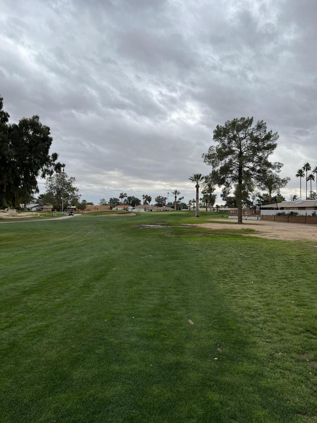 (Photo submitted by fabcar14 on 01/10/2024)