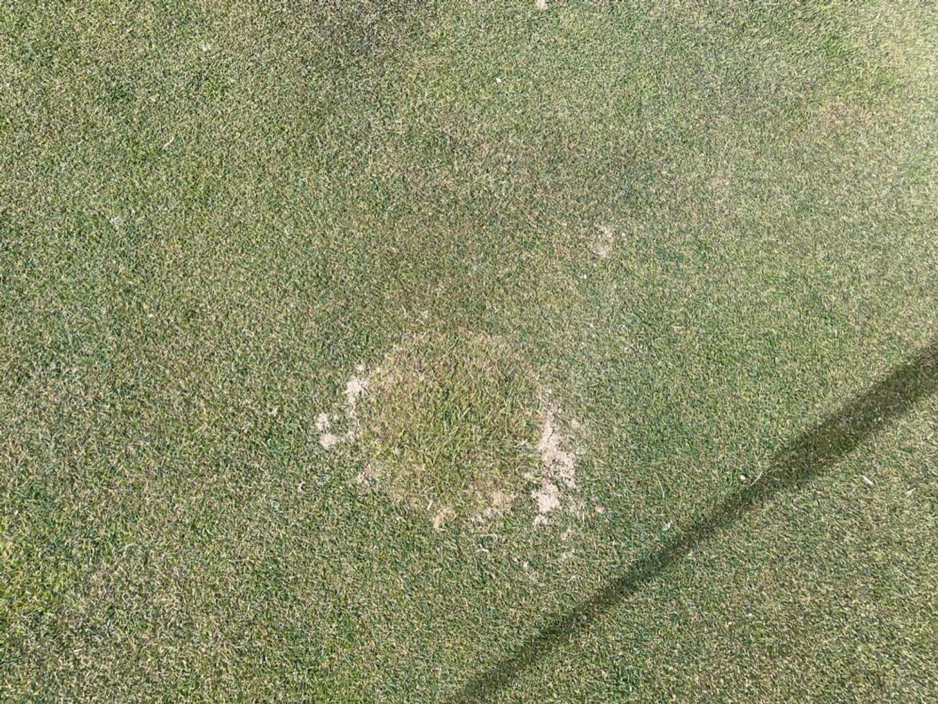 (Photo submitted by Arch1tect on 11/24/2022)