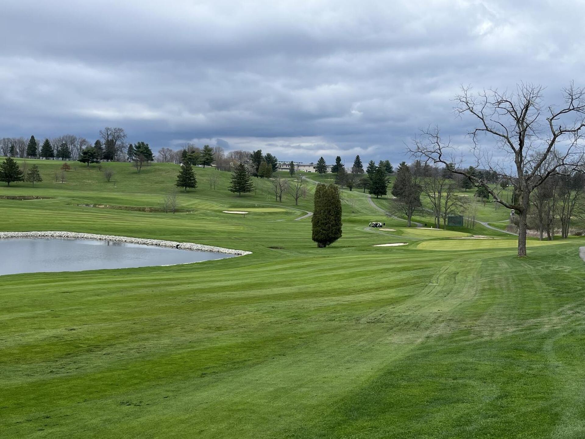 (Photo submitted by u835220769 on 04/11/2024)