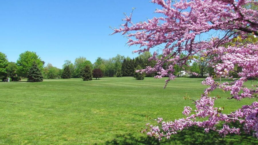 Black Brook CC