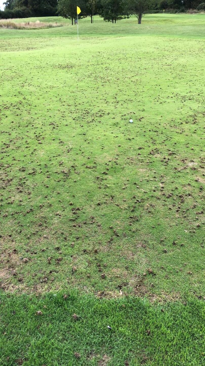 (Photo submitted by t1865839802 on 09/07/2020)