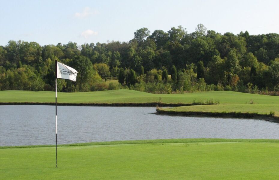 Cattails at Meadowview GC