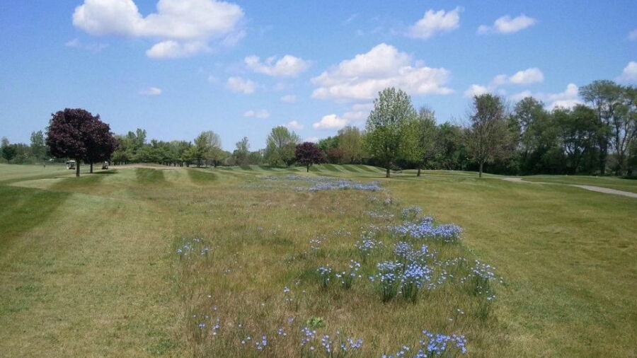 Juday Creek GC: #11