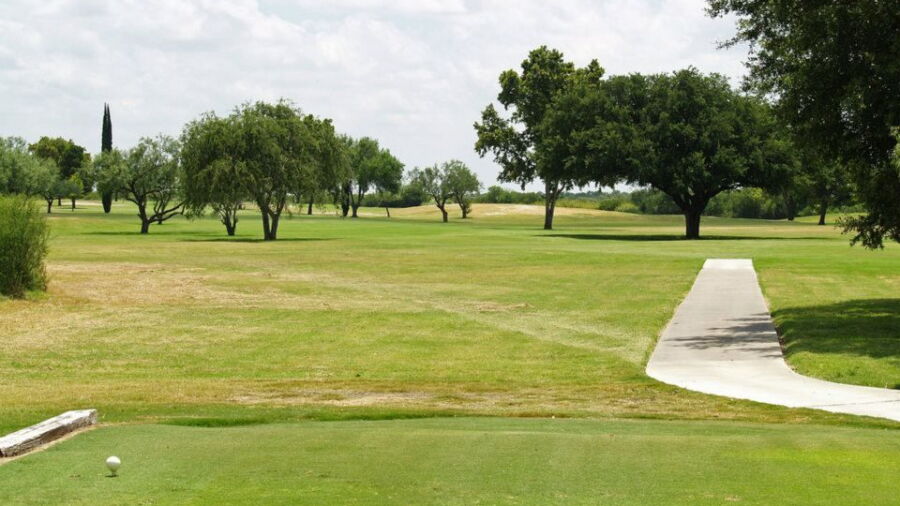 Leaning Pine GC: #4