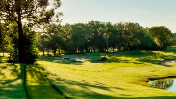 Innisbrook Resort & Golf Club - Fox Squirrel