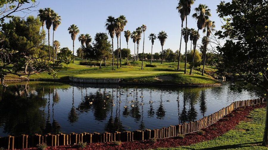 Legends GC: #8