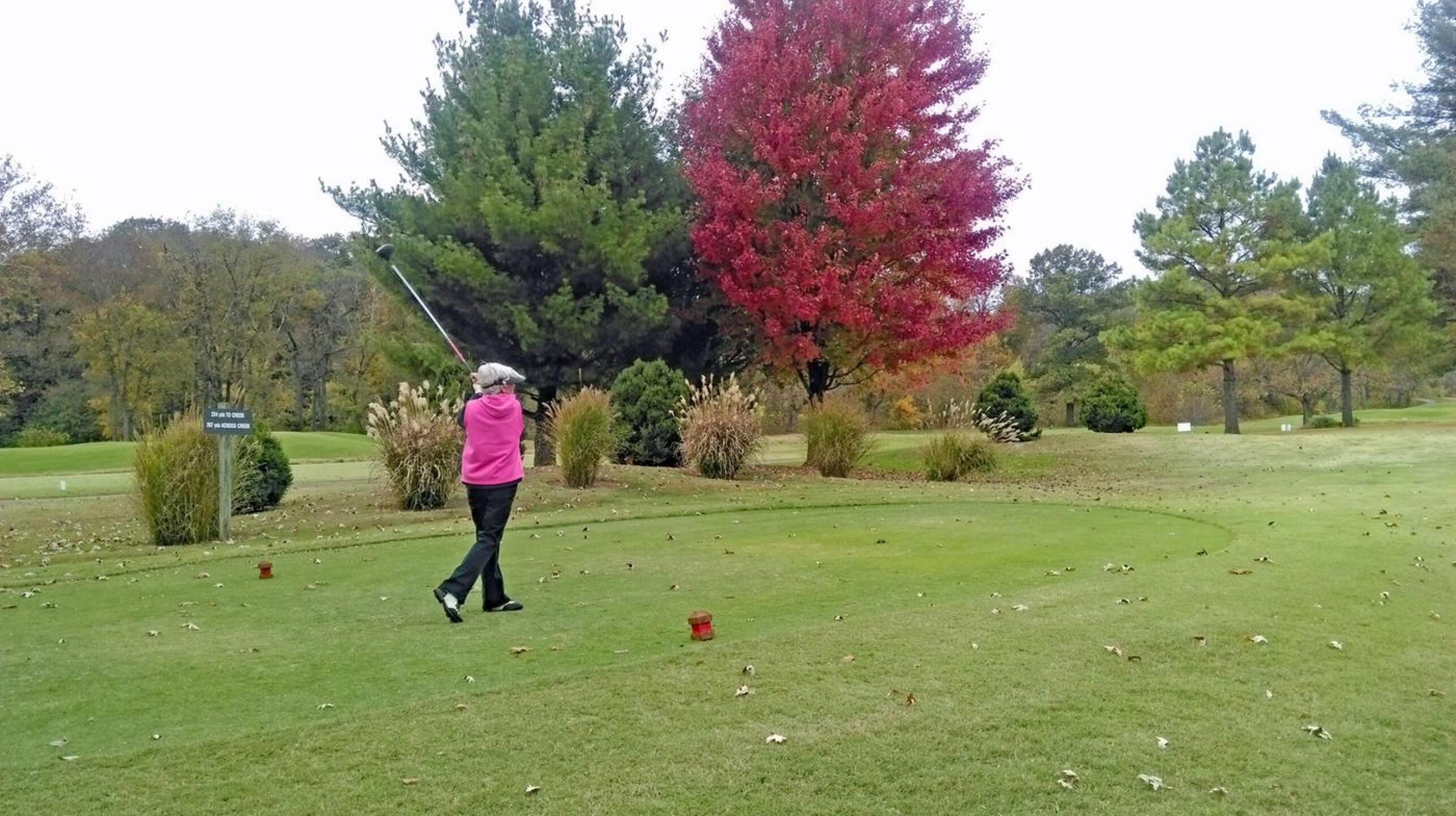 (Photo submitted by johnnuttall on 03/01/2016)