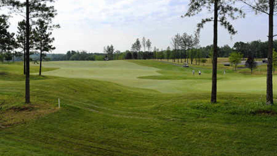 Regency At Dominion Valley CC