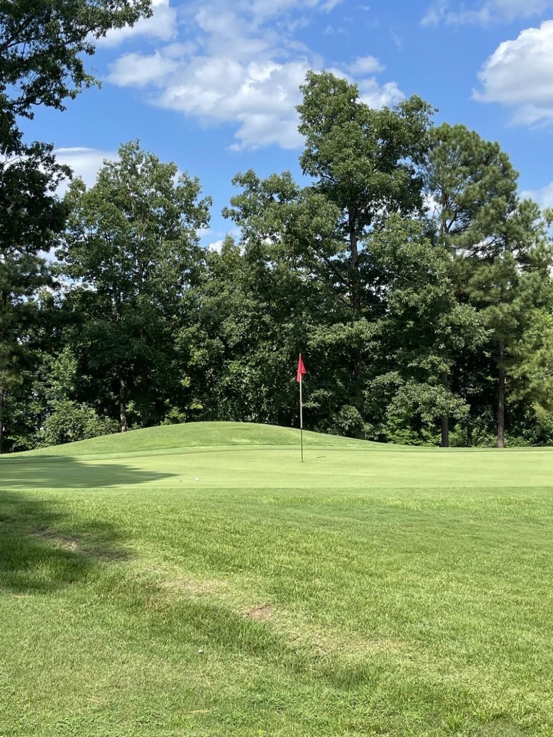 (Photo submitted by notthecartgirl on 08/21/2023)