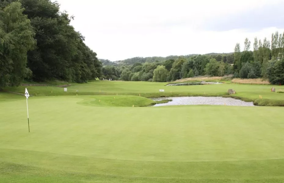 Moor Allerton GC - Blackmoor: #5