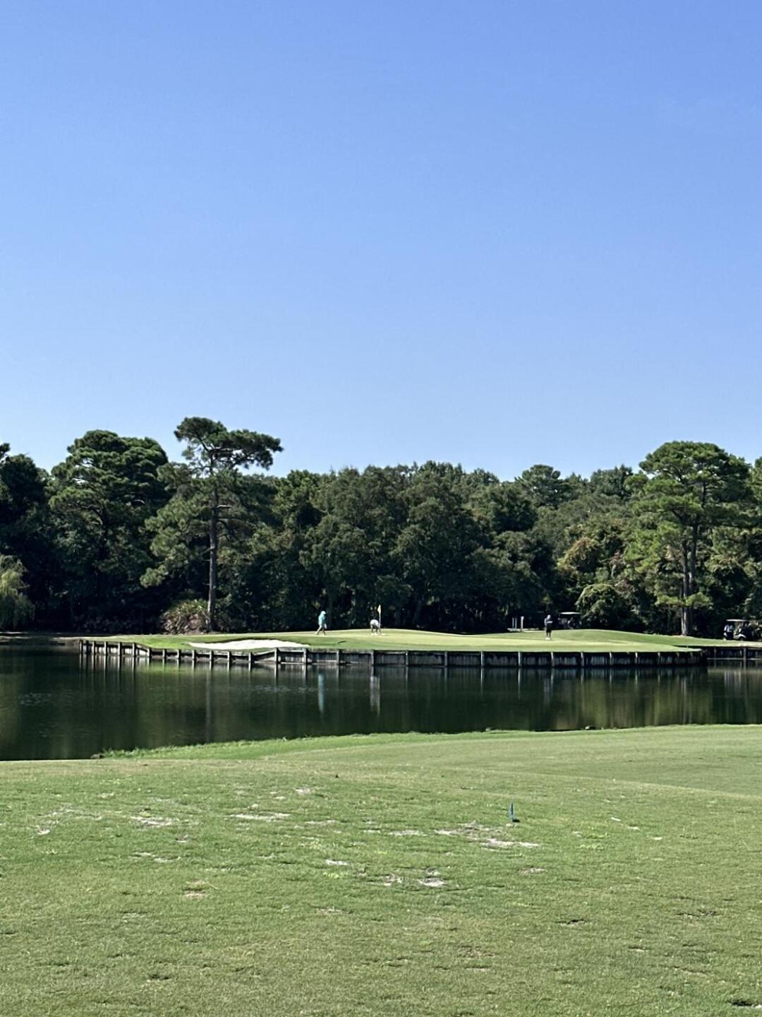 (Photo submitted by u7610237 on 08/01/2024)