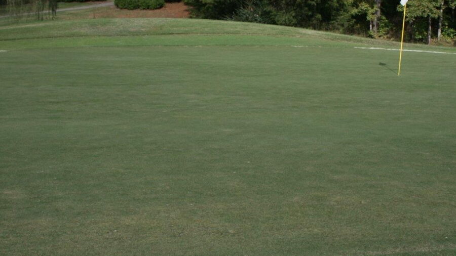 Tanglewood Shores GCC: #6