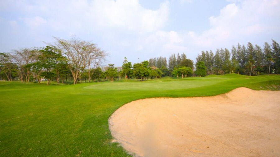 Bonanza GCC