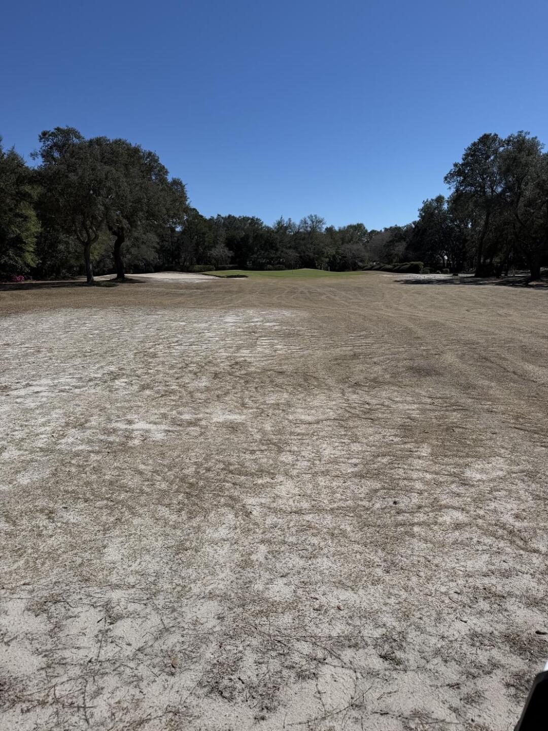 (Photo submitted by tacocatdad on 03/01/2026)