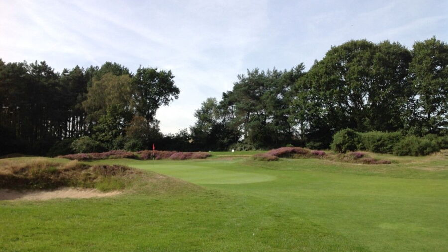 Purdis Heath at Ipswich GC: green #8