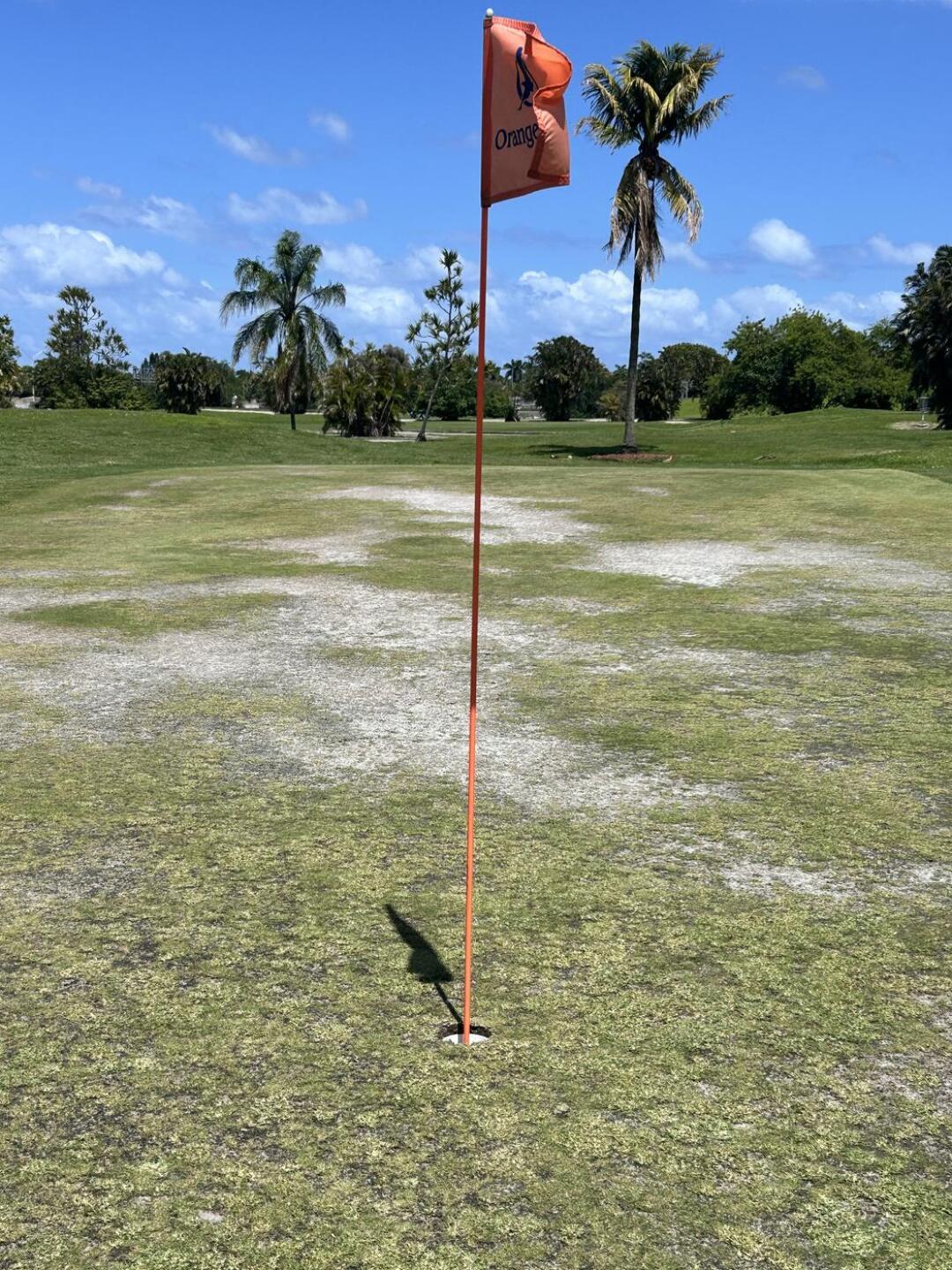 try putting on that! (Photo submitted by brianrquinn on 04/13/2026)