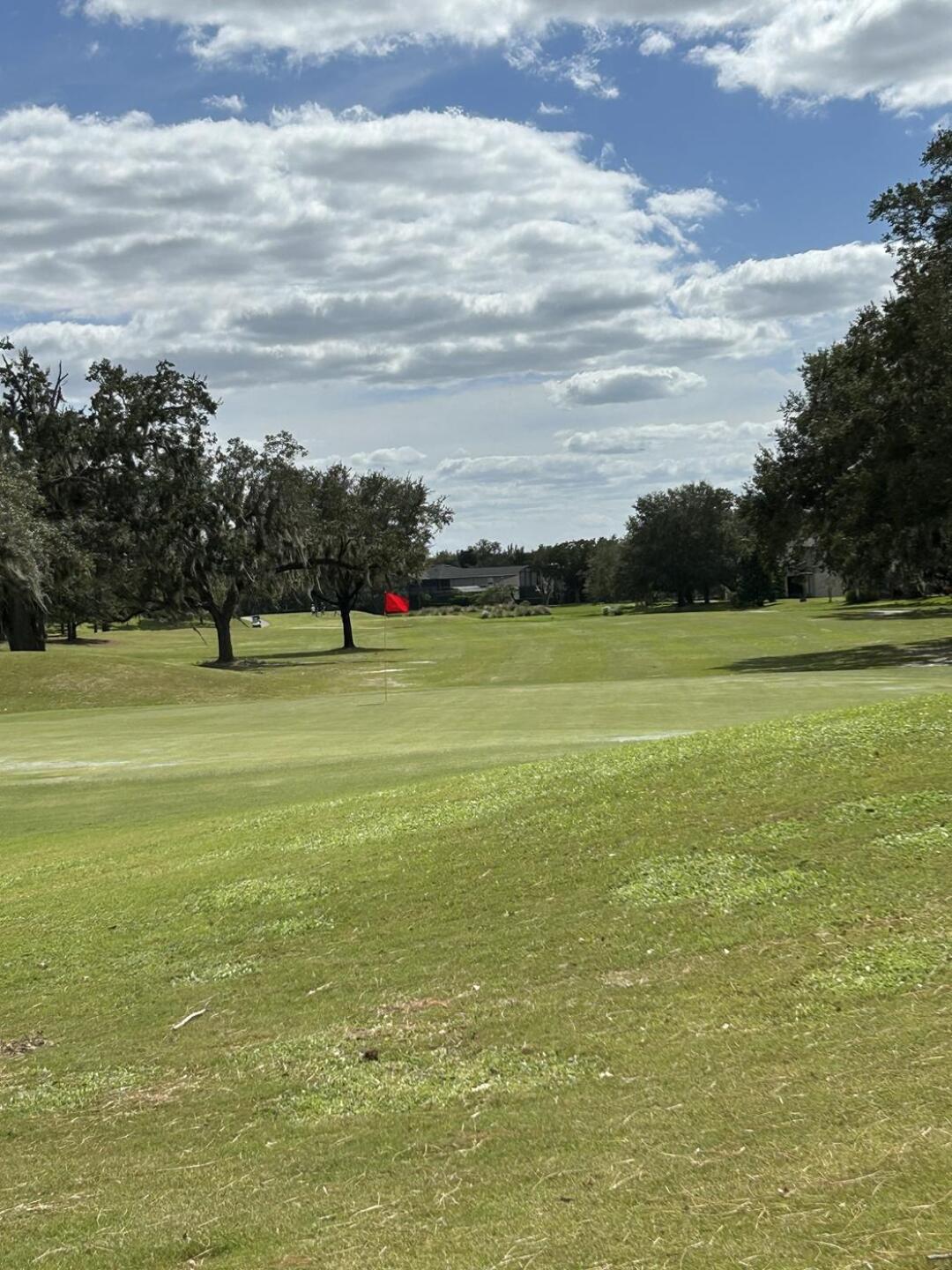 (Photo submitted by dlpetrella on 10/25/2024)