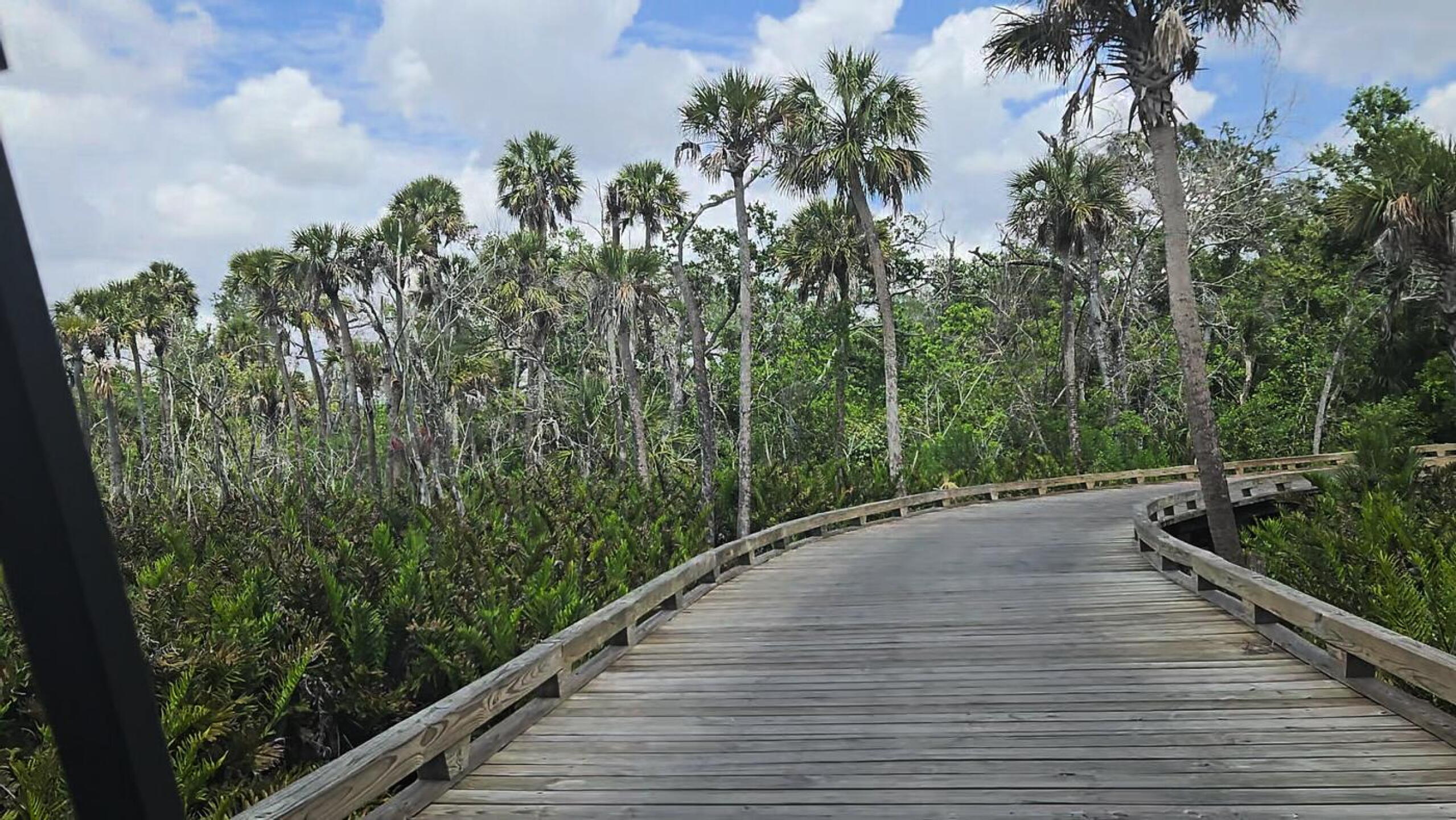 Scenic Florida views (Photo submitted by timo914 on 04/25/2026)