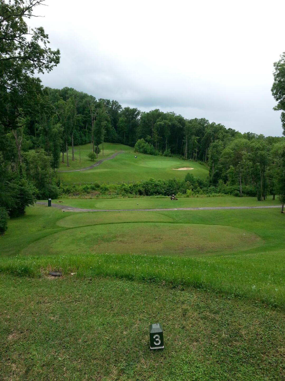 elavated 16th hole par 3 (Photo submitted by DavidLaDuke on 07/04/2015)