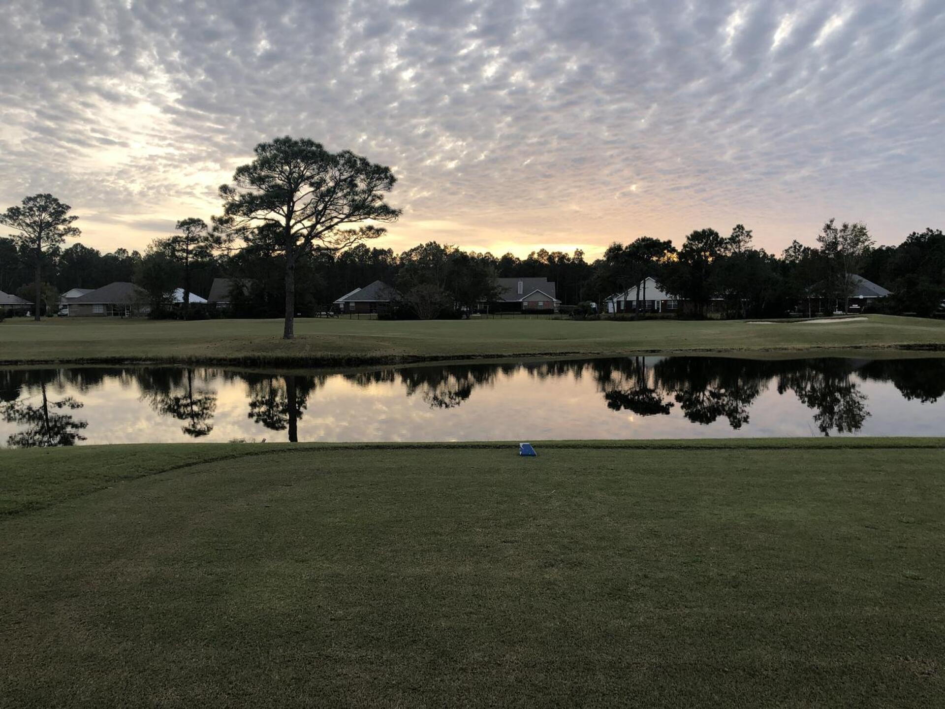 (Photo submitted by Thomas9558667 on 11/03/2021)