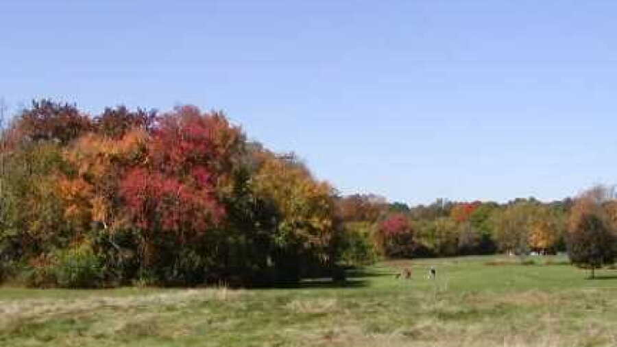 St. Mark's GC at St Mark's School: #3