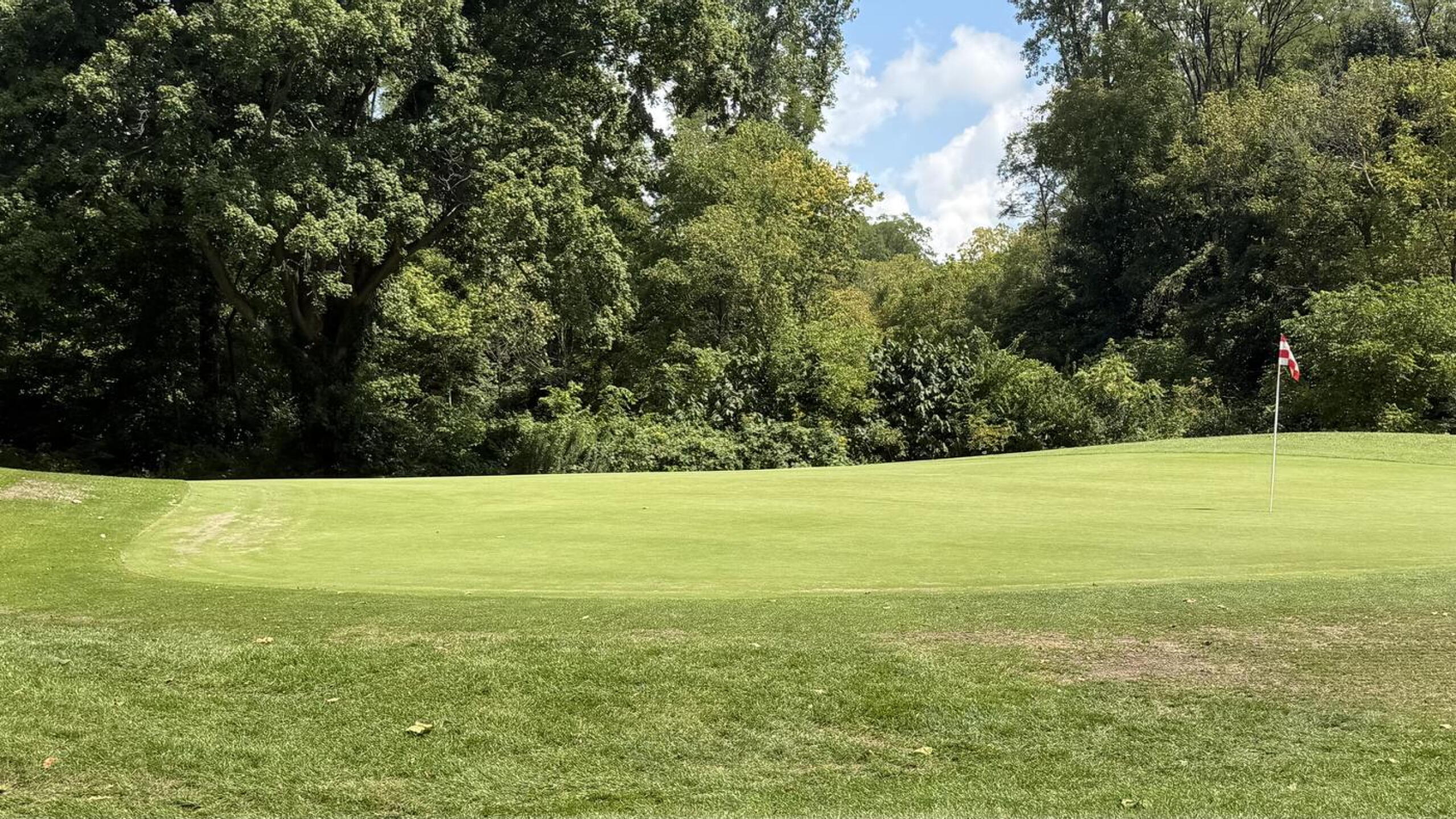 (Photo submitted by cc21golf on 09/01/2026)