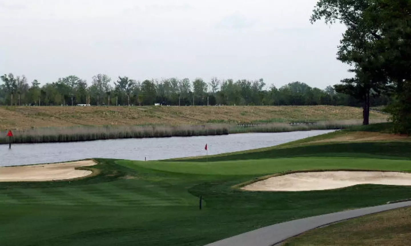 Myrtlewood's Palmetto