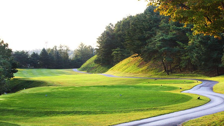 Plaza CC - Lion: #14