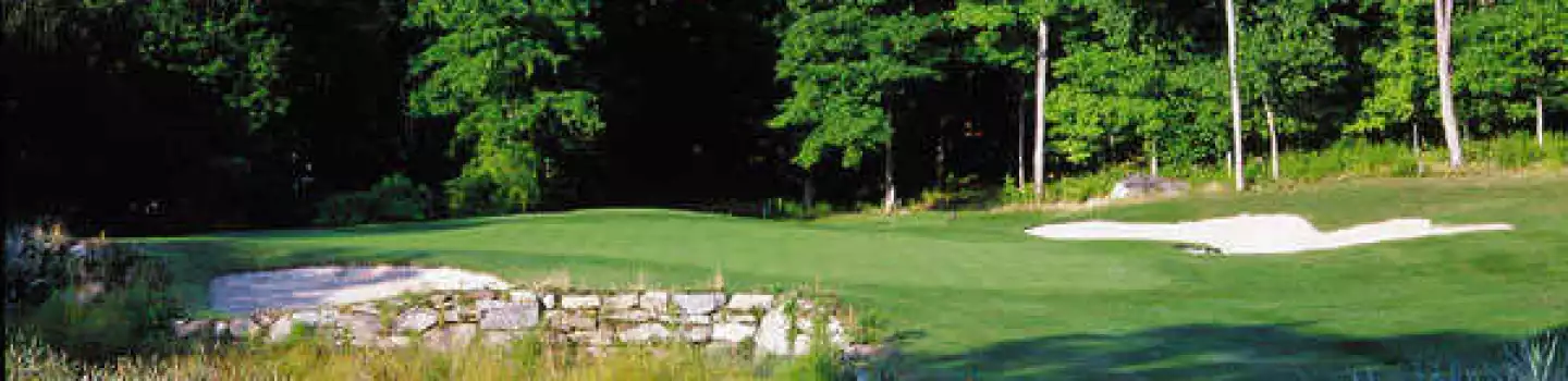 Centennial GC - Meadows: #5